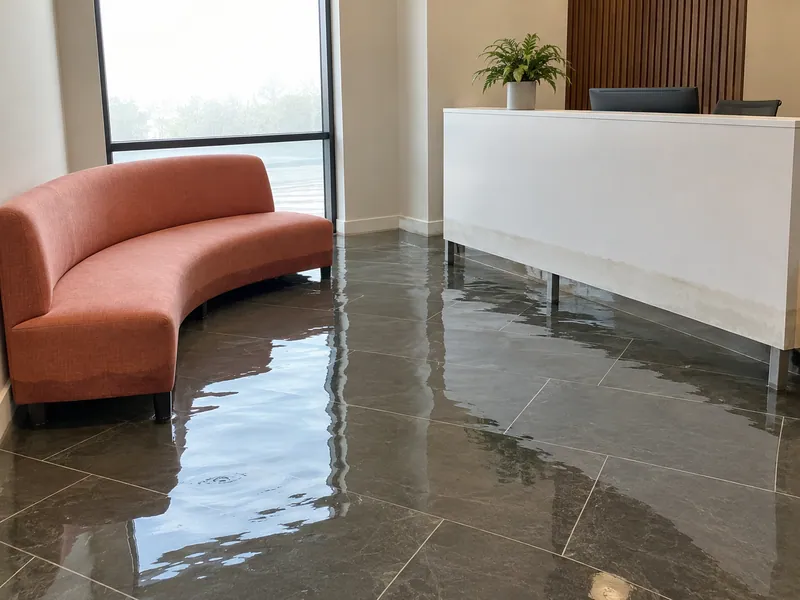Water Extraction Near Railyard Park — pooled room with submerged lower furniture feet and visible waterlines